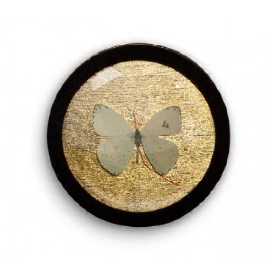 QUADRO SOLIS BOTANICA - BORBOLETA VERMELHA