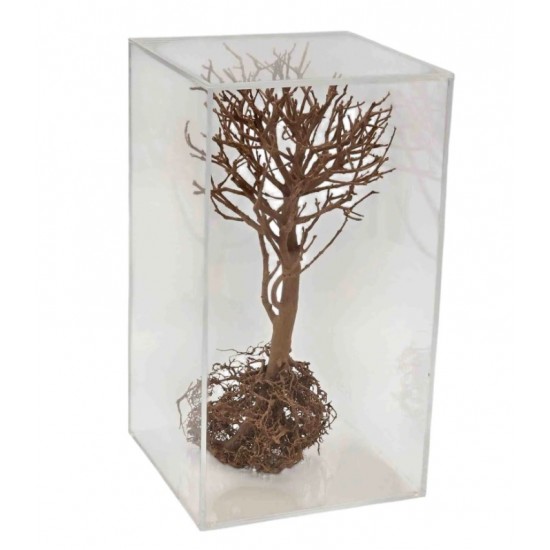 ESCULTURA ARVORE NA CAIXA DE ACRILICO TERRA TERRACOTA 20X 20X35CM