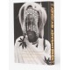 LIVRO AFRICAN ADVENTURES Ed 2023 LIVRO AFRICAN ADVENTURES Ed 2023