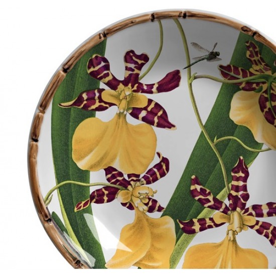 BOWL COUP ORQUIDEAS