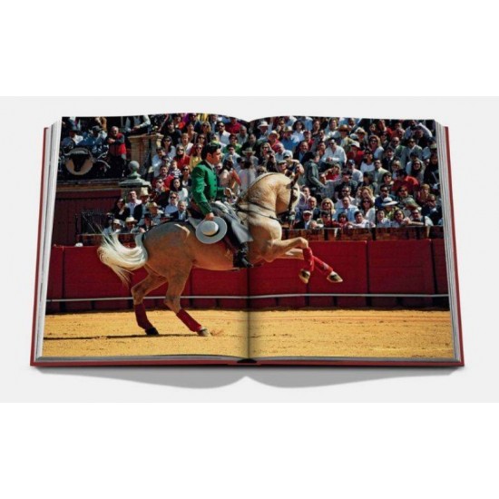 LIVRO SEVILLA ARTE ED 2 LIVRO SEVILLA ARTE ED 2