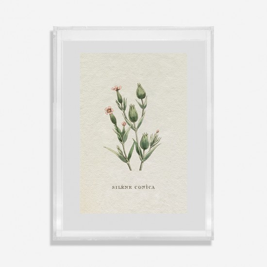 QUADRO ACRILICO GRAVURA GARDEN FLORES QUADRO ACRILICO GRAVURA GARDEN FLORES