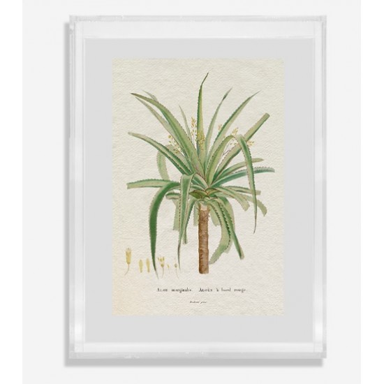 QUADRO ACRILICO GRAVURA GARDEN QUADRO ACRILICO GRAVURA GARDEN